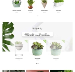 h043网页制作作业、 网页设计作业、 网页设计作业成品、简洁精美的植物花卉商城网站HTML模板.jpg