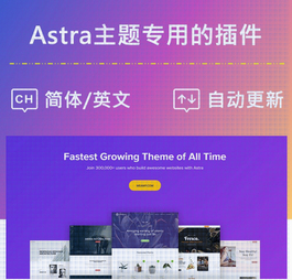 Astra Pro 官方中英文 Astra主题专用插件外贸商城建站